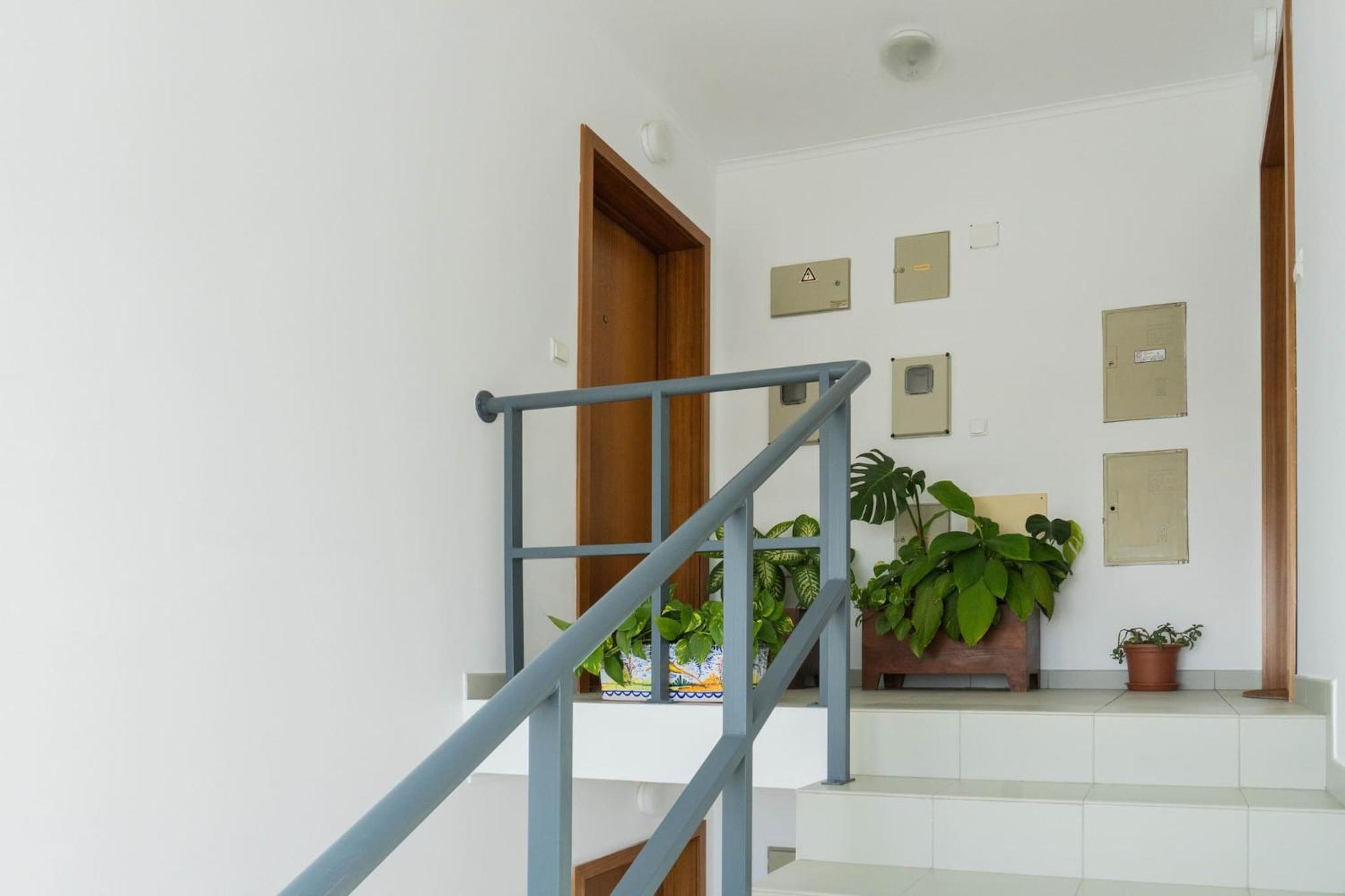 Apartment Bela Vista *